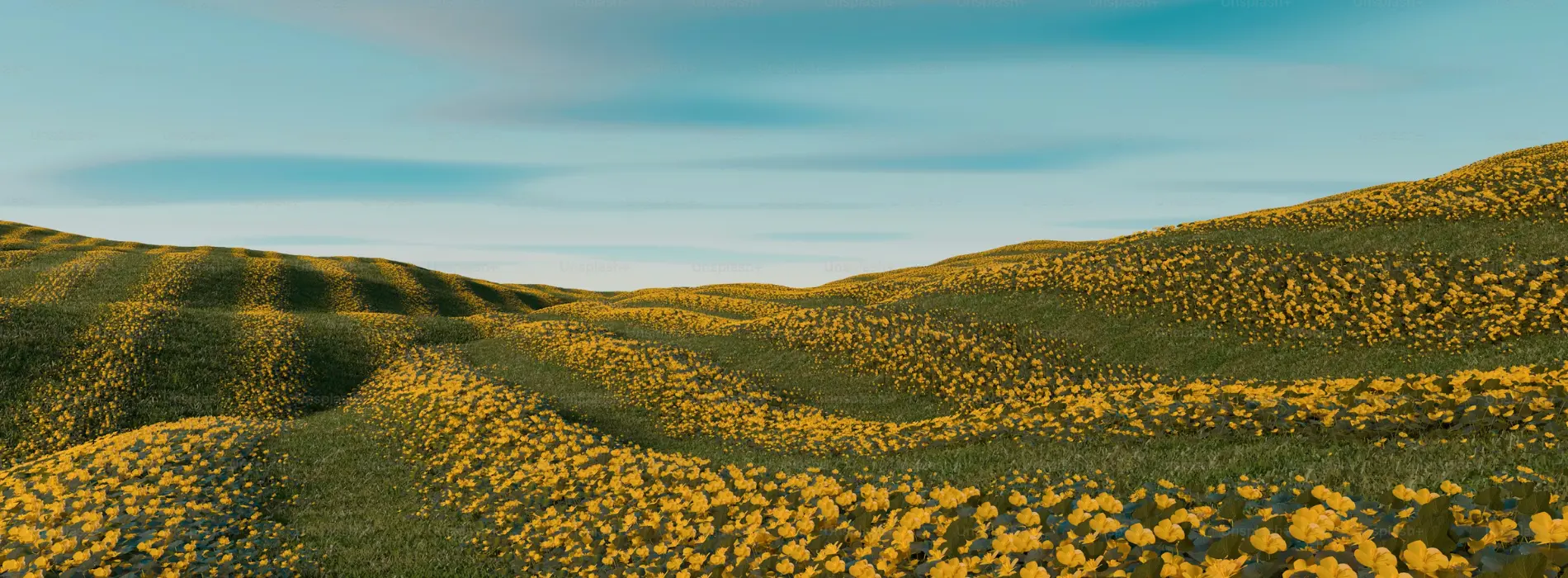 Clean, Graded & Market-Ready Pulses for Global Trade